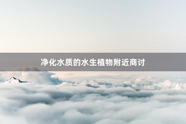 净化水质的水生植物附近商讨
