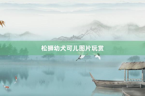 松狮幼犬可儿图片玩赏